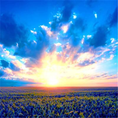 加拿大pc试玩平台下载手机版